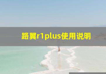 路翼r1plus使用说明