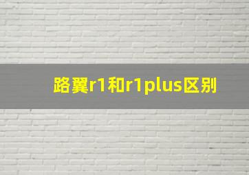 路翼r1和r1plus区别