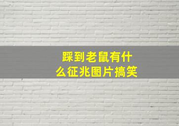 踩到老鼠有什么征兆图片搞笑