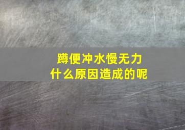 蹲便冲水慢无力什么原因造成的呢