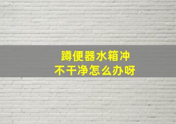 蹲便器水箱冲不干净怎么办呀