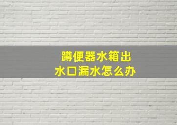 蹲便器水箱出水口漏水怎么办