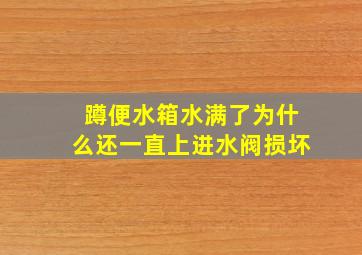 蹲便水箱水满了为什么还一直上进水阀损坏