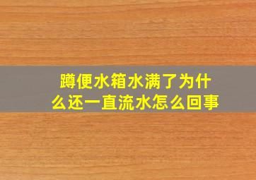 蹲便水箱水满了为什么还一直流水怎么回事