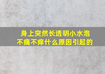 身上突然长透明小水泡不痛不痒什么原因引起的