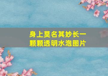 身上莫名其妙长一颗颗透明水泡图片