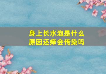 身上长水泡是什么原因还痒会传染吗