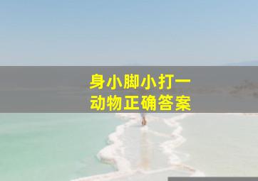 身小脚小打一动物正确答案