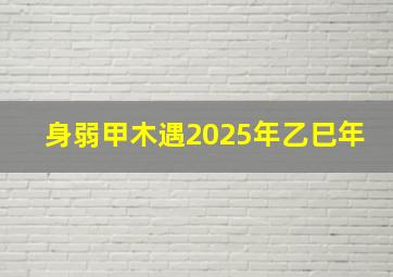 身弱甲木遇2025年乙巳年