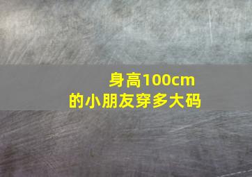 身高100cm的小朋友穿多大码