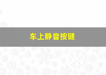 车上静音按键