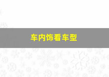 车内饰看车型