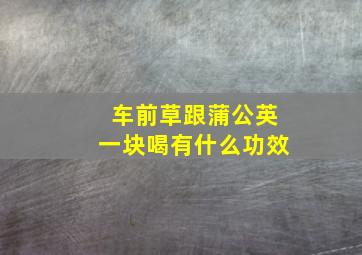 车前草跟蒲公英一块喝有什么功效