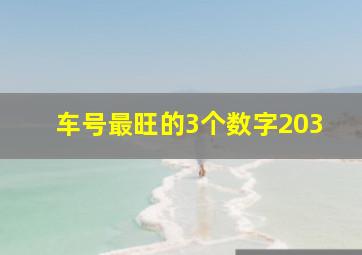 车号最旺的3个数字203