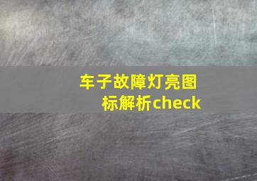 车子故障灯亮图标解析check