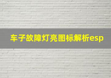 车子故障灯亮图标解析esp