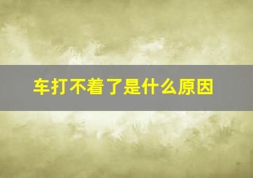 车打不着了是什么原因