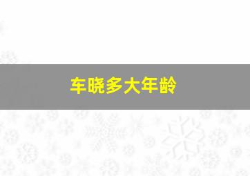 车晓多大年龄