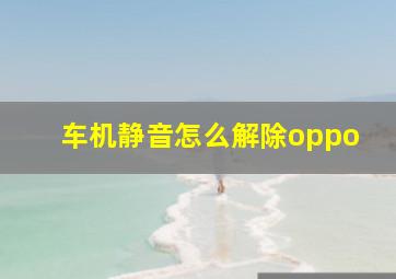 车机静音怎么解除oppo