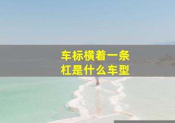 车标横着一条杠是什么车型