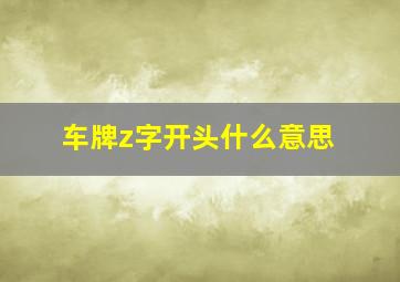 车牌z字开头什么意思