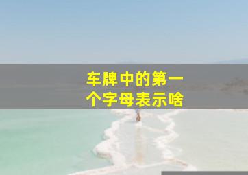 车牌中的第一个字母表示啥