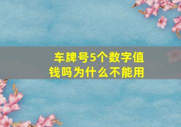 车牌号5个数字值钱吗为什么不能用