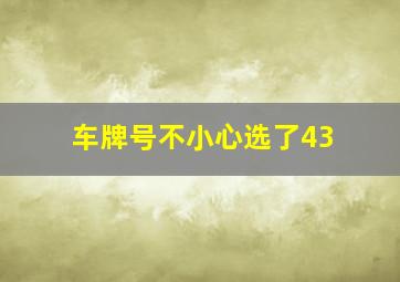 车牌号不小心选了43