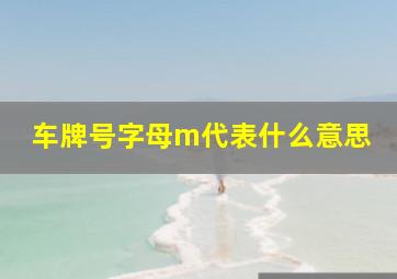 车牌号字母m代表什么意思