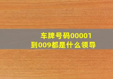 车牌号码00001到009都是什么领导