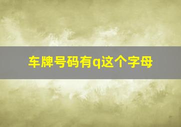 车牌号码有q这个字母