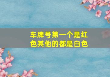 车牌号第一个是红色其他的都是白色