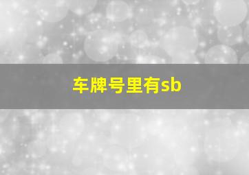 车牌号里有sb