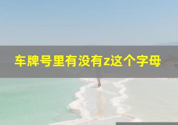 车牌号里有没有z这个字母