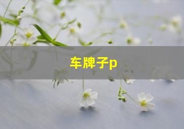 车牌子p