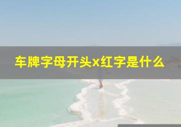 车牌字母开头x红字是什么