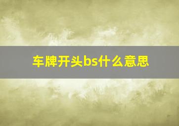 车牌开头bs什么意思