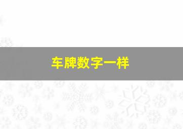 车牌数字一样