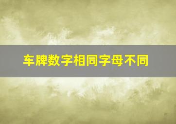 车牌数字相同字母不同