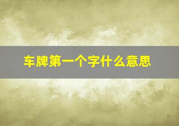 车牌第一个字什么意思