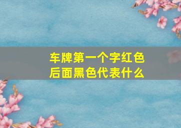 车牌第一个字红色后面黑色代表什么