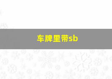 车牌里带sb