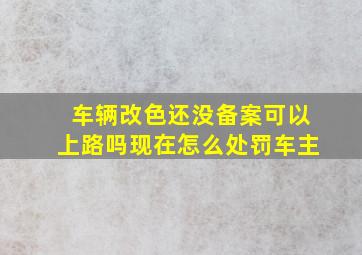 车辆改色还没备案可以上路吗现在怎么处罚车主