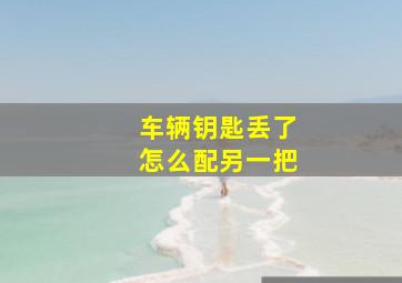 车辆钥匙丢了怎么配另一把