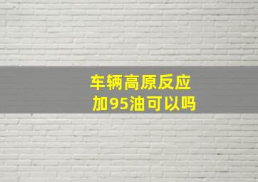 车辆高原反应加95油可以吗