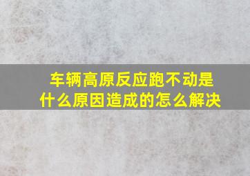 车辆高原反应跑不动是什么原因造成的怎么解决