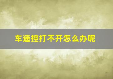 车遥控打不开怎么办呢