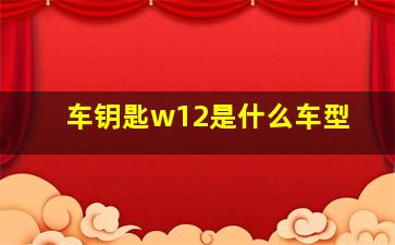 车钥匙w12是什么车型