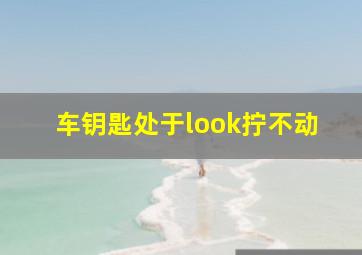 车钥匙处于look拧不动