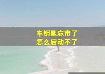 车钥匙忘带了怎么启动不了